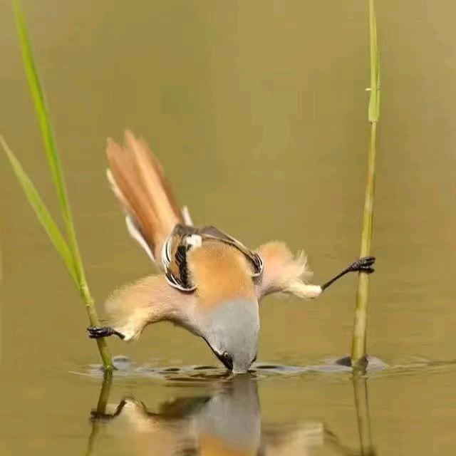 聚是一团火  散作满天星