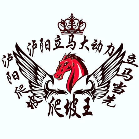 泸阳立马大动力电动车