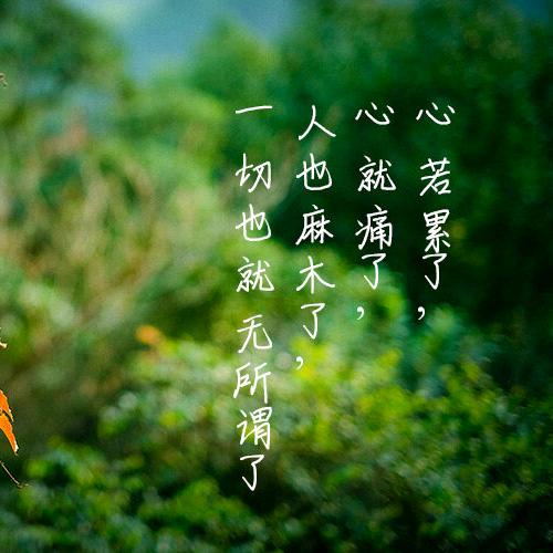 宁静致远   心静如水