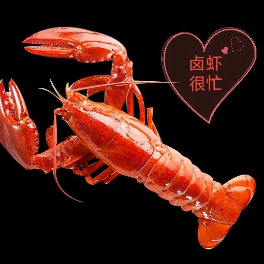 广东阳春卤虾很忙店