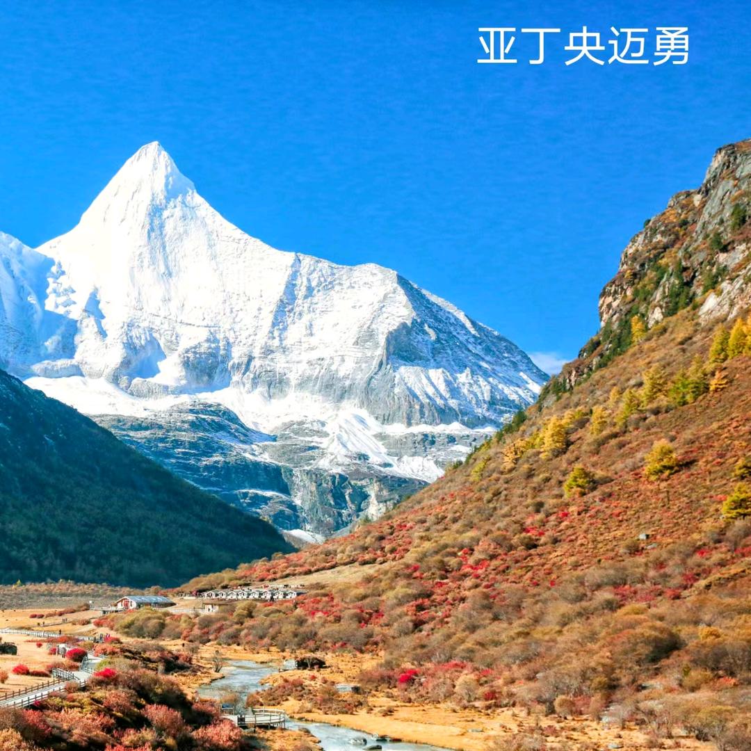 在天是哮天犬在下呢