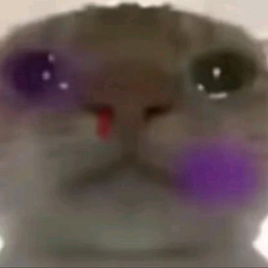 青屹跑刀（小助理）