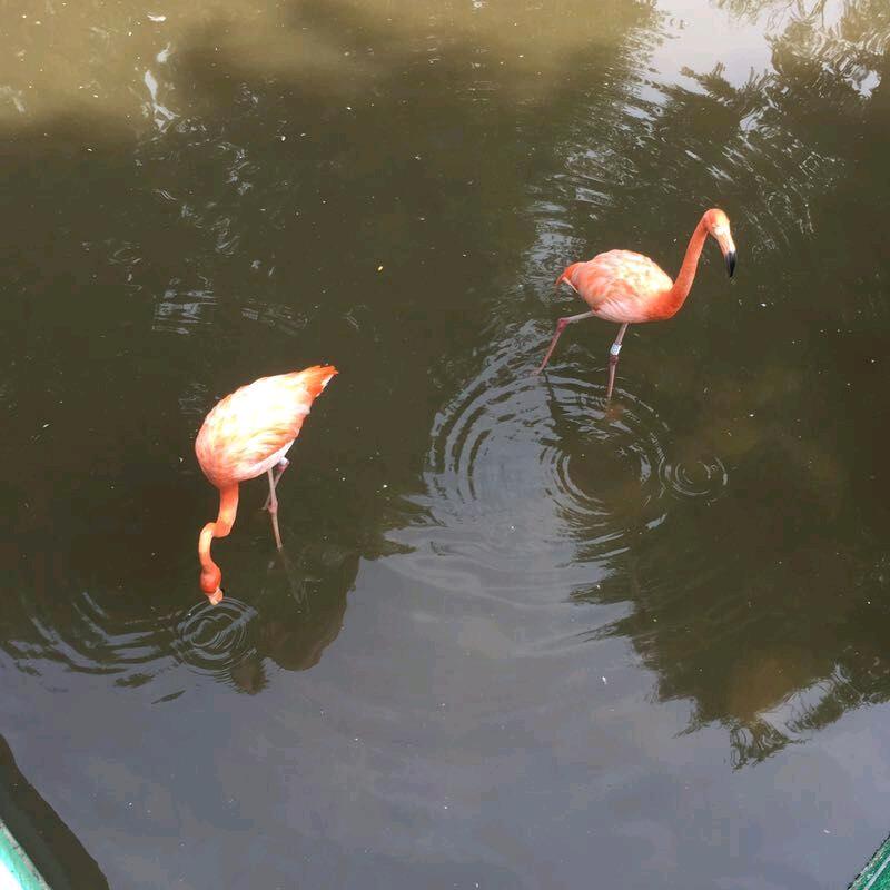 @鲸落～