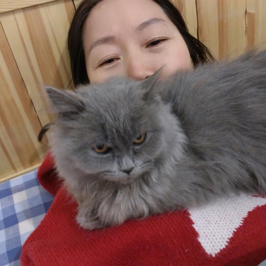 妞妞是我的小猫