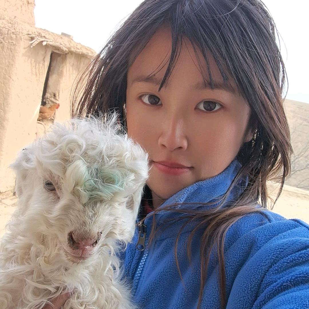 大西北放羊妹 _