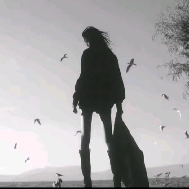 眼角的泪（紫云鑫竹）