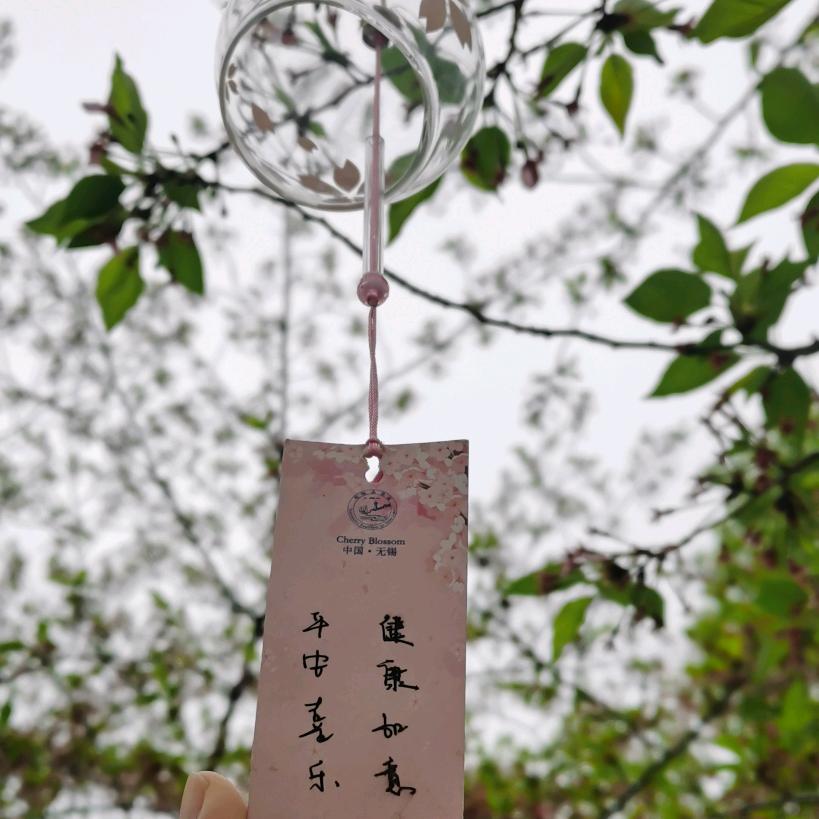 王一朵是朵花🌸