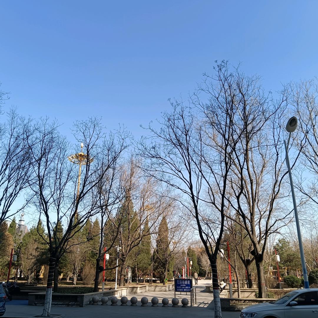 爱吃榴莲的小姐姐