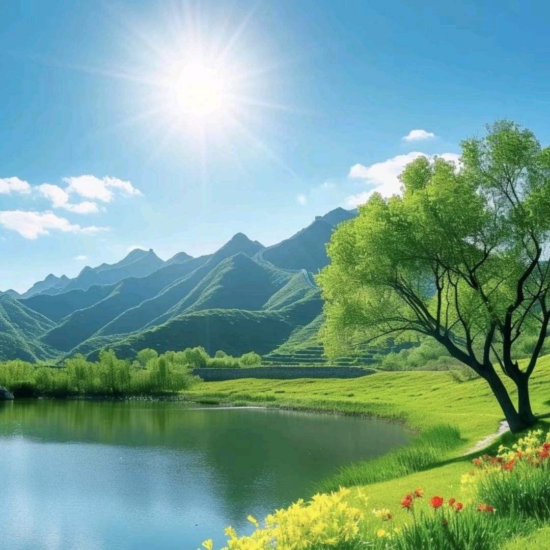 🌈🌈🌈🌈🌈🌈🌈