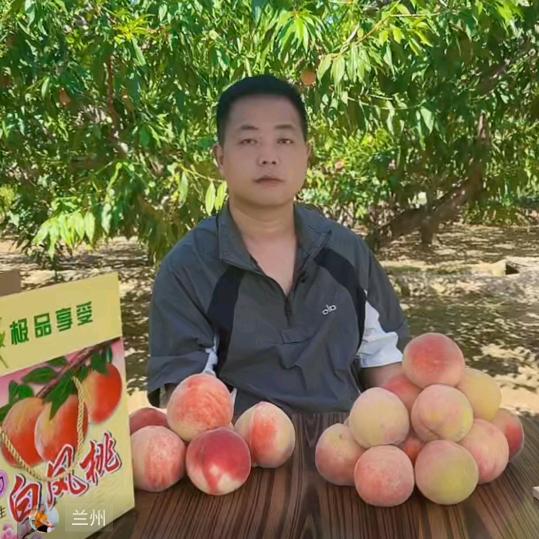 张北北（西北偏北）