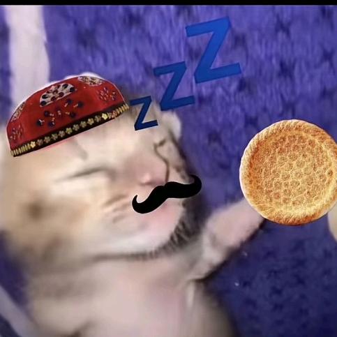 呀吼～