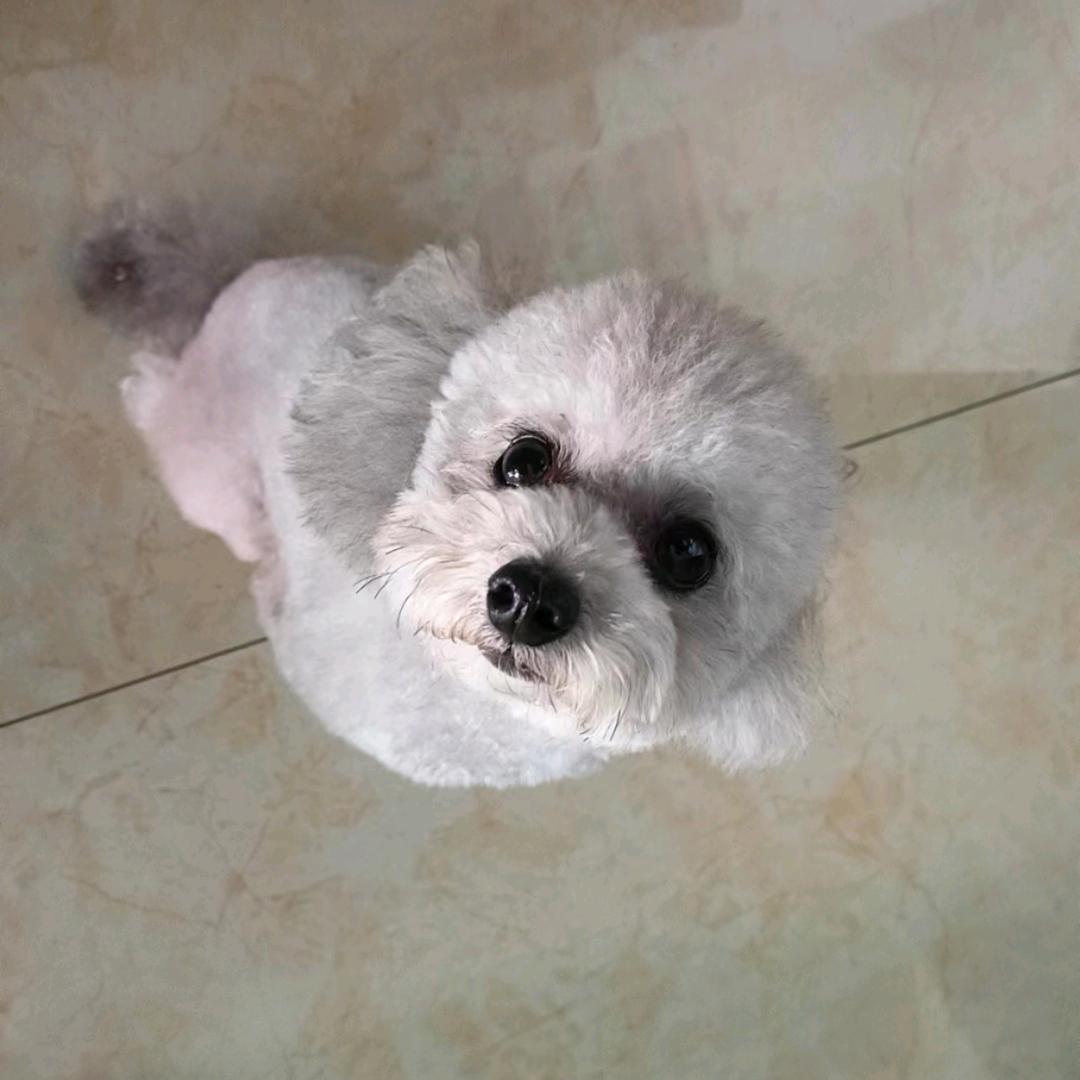 小蔓