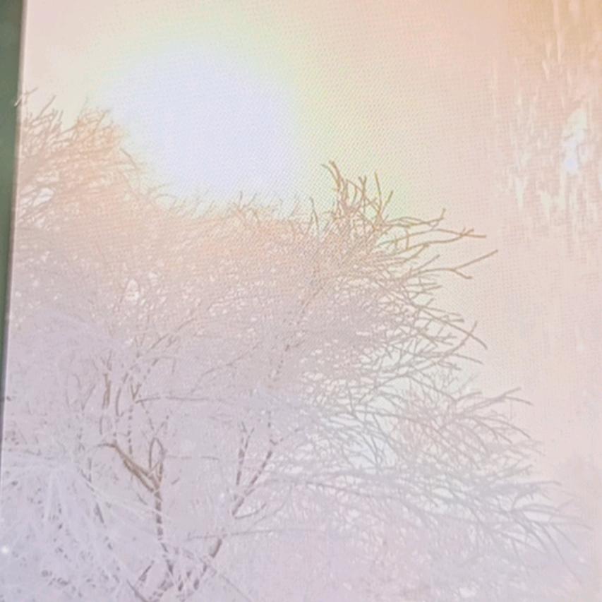 飘雪）{每晚22；50}
