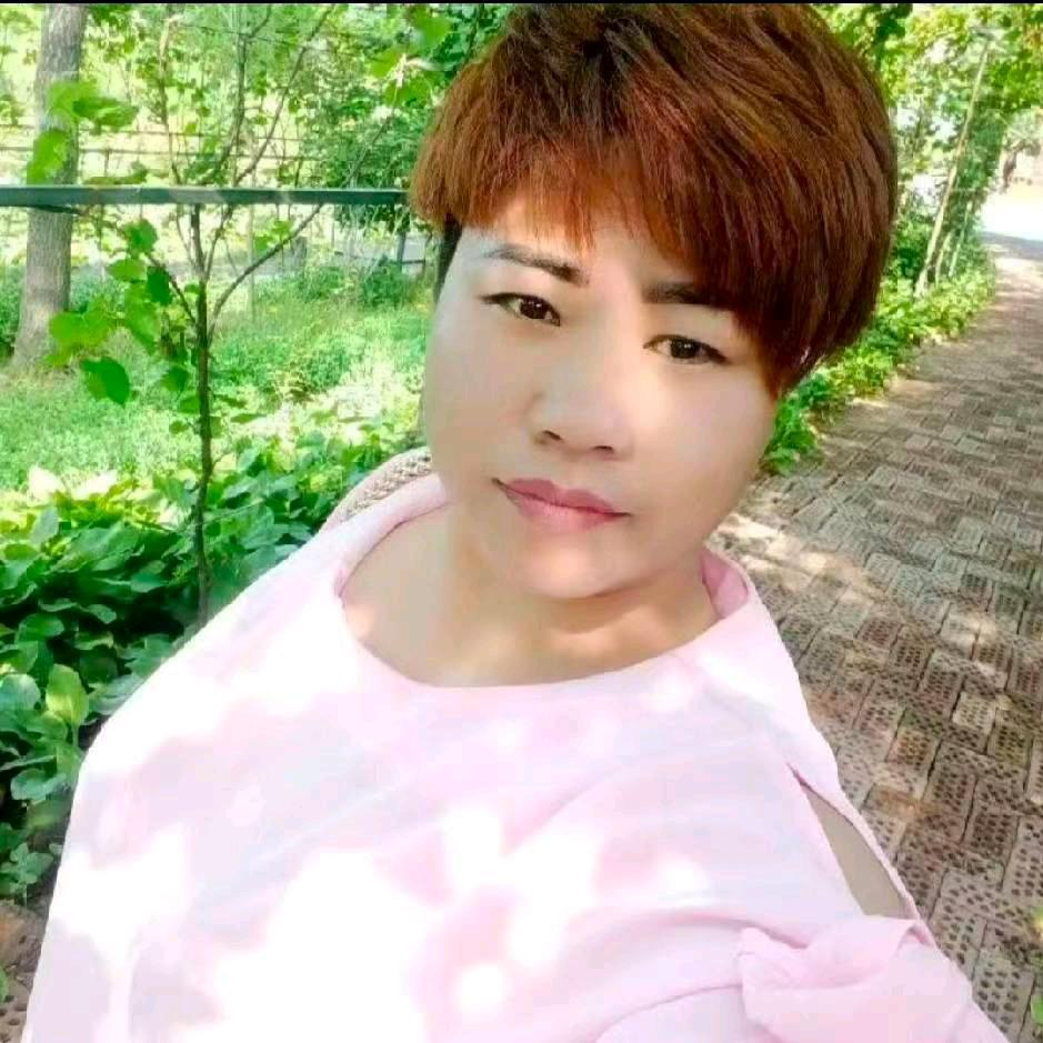 白玫瑰