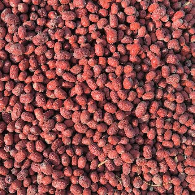 新疆农产品 川页