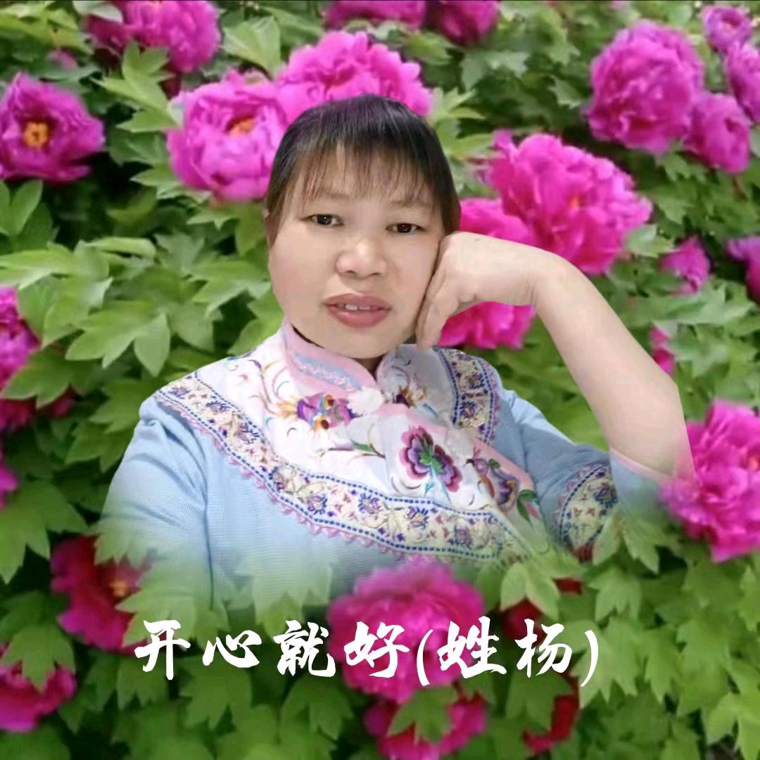 杨官敏