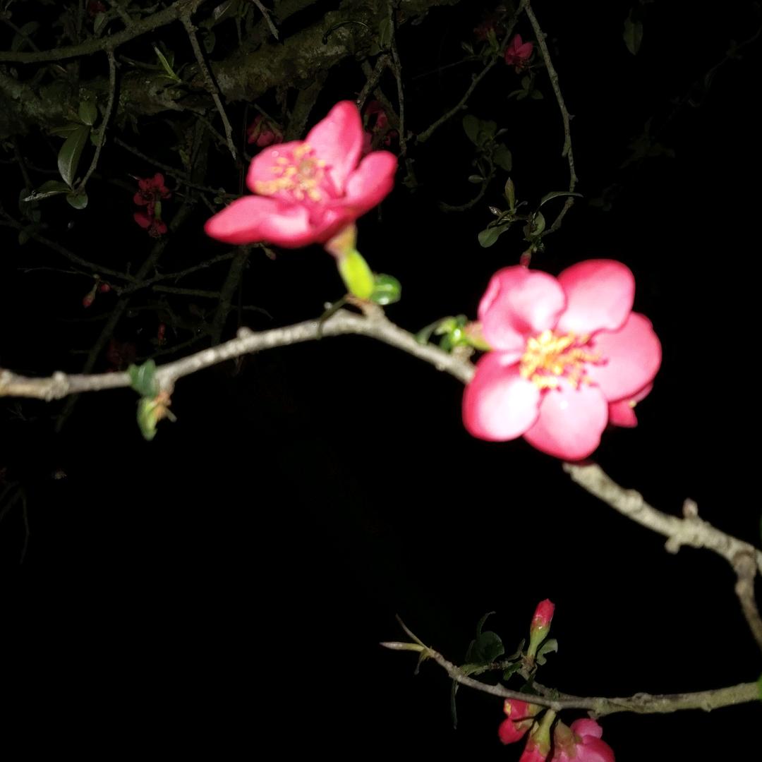 岁月