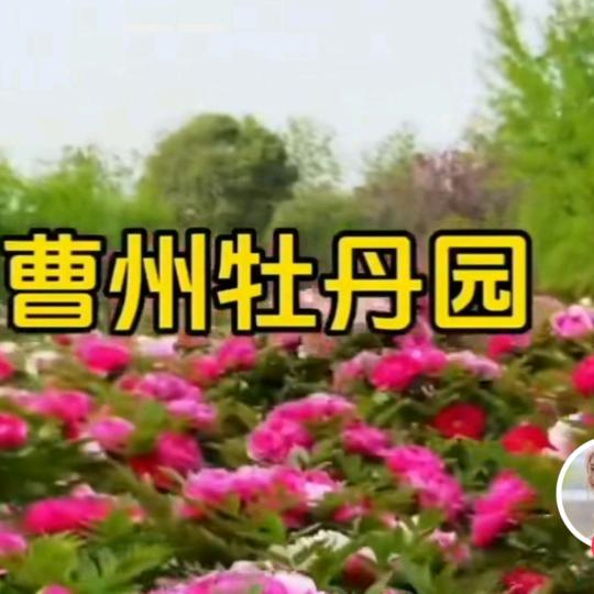 监控.弱电工程.萤石指纹锁。