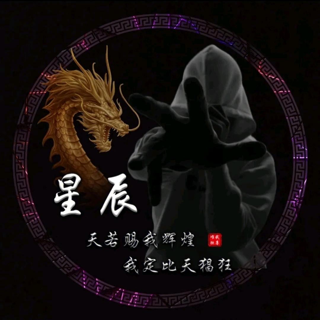 ✨星辰✨独行者🛸