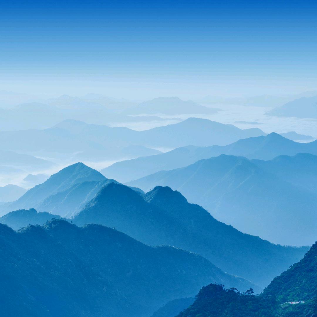 龙龙龙