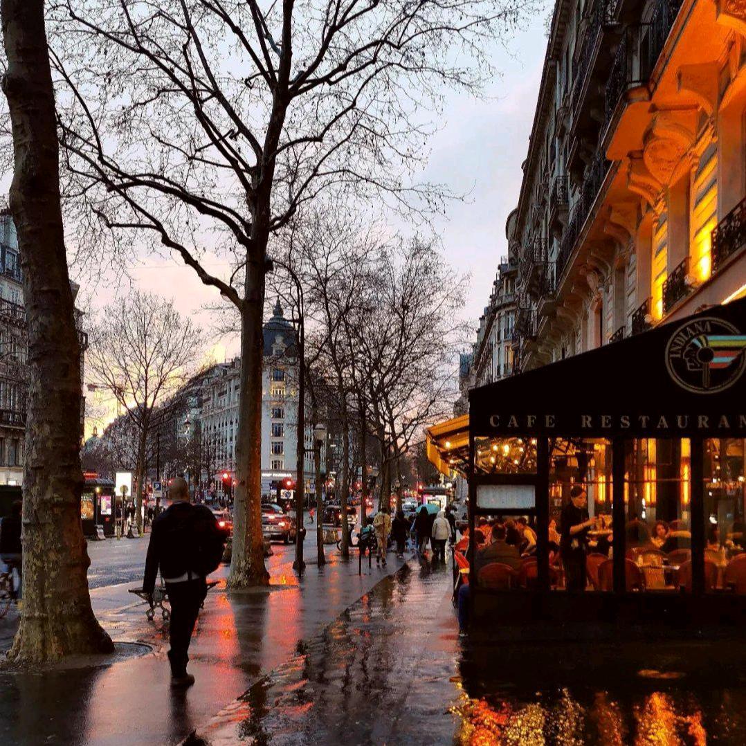 智途东北玉米69号店