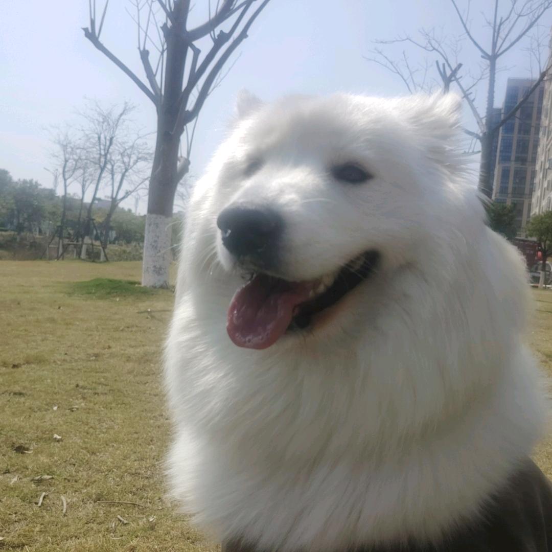 🌈爱我嘞梦小宝～