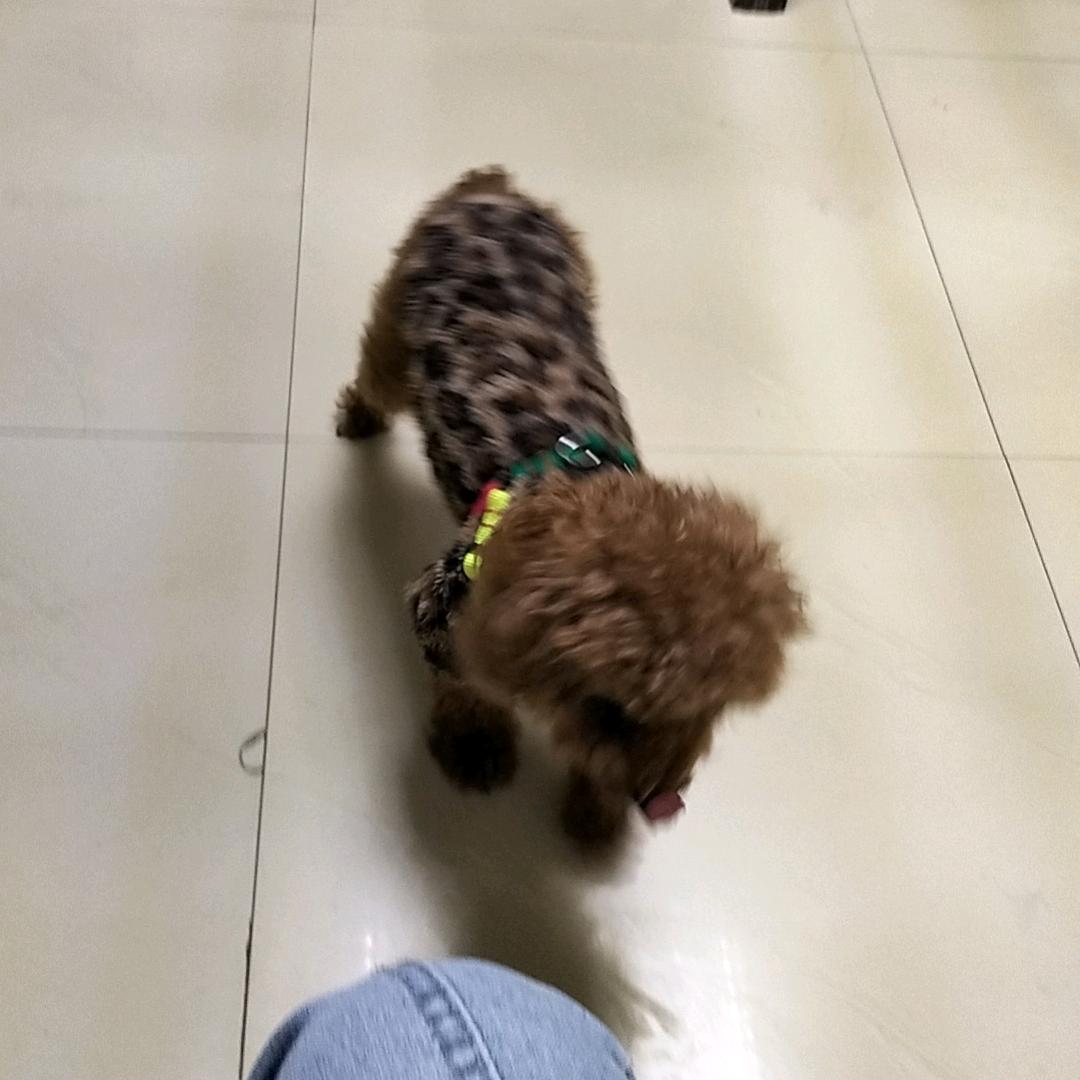 现实，和，理想《拒绝聊天〉