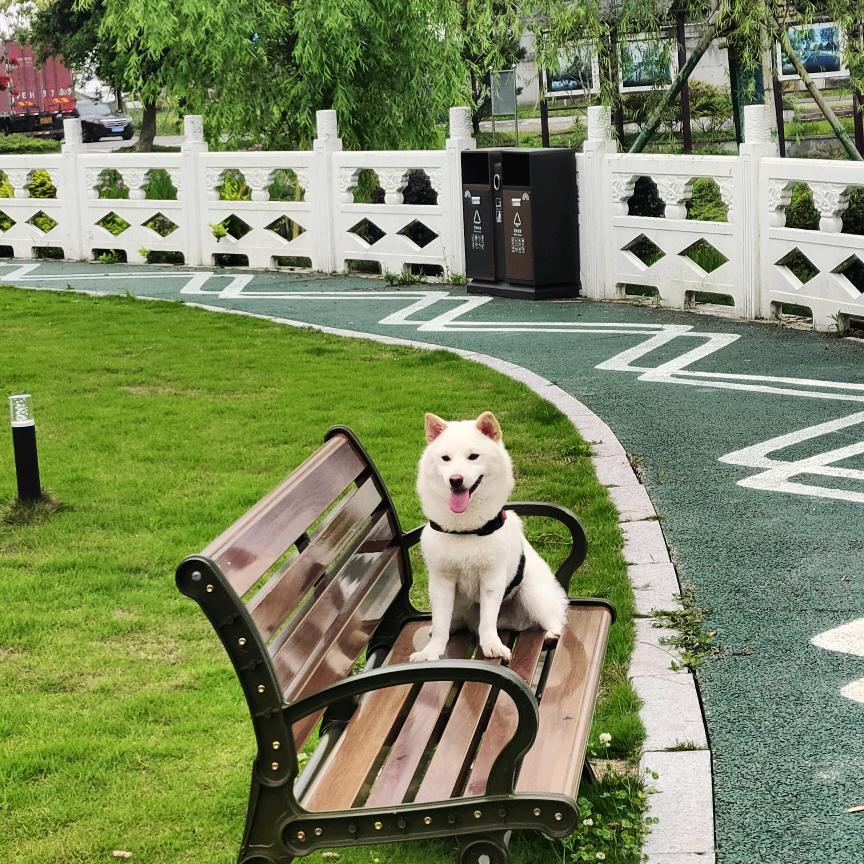 旧酃