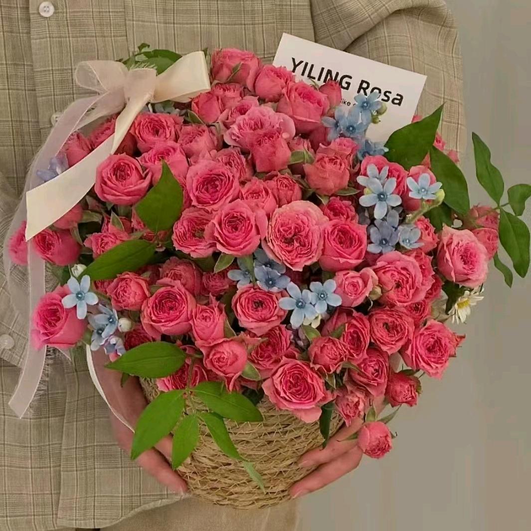 内衣量贩