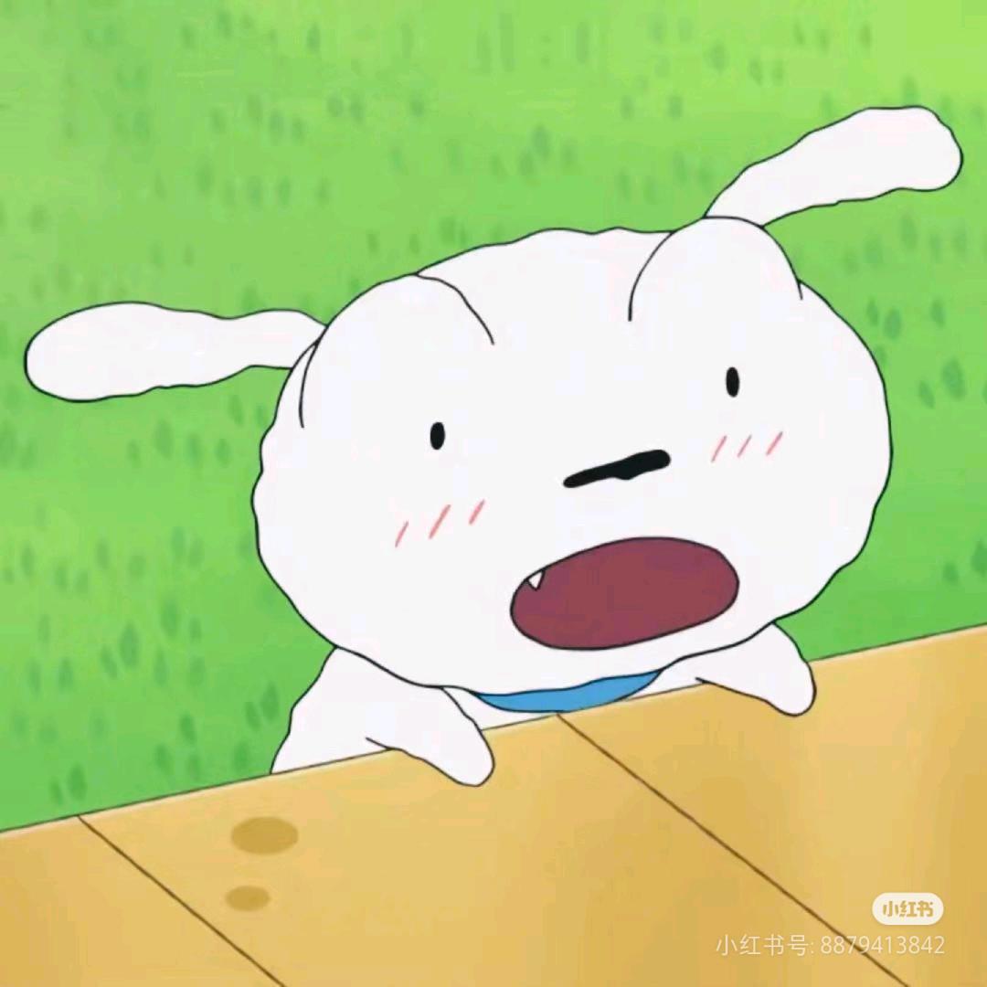小白的白🔥