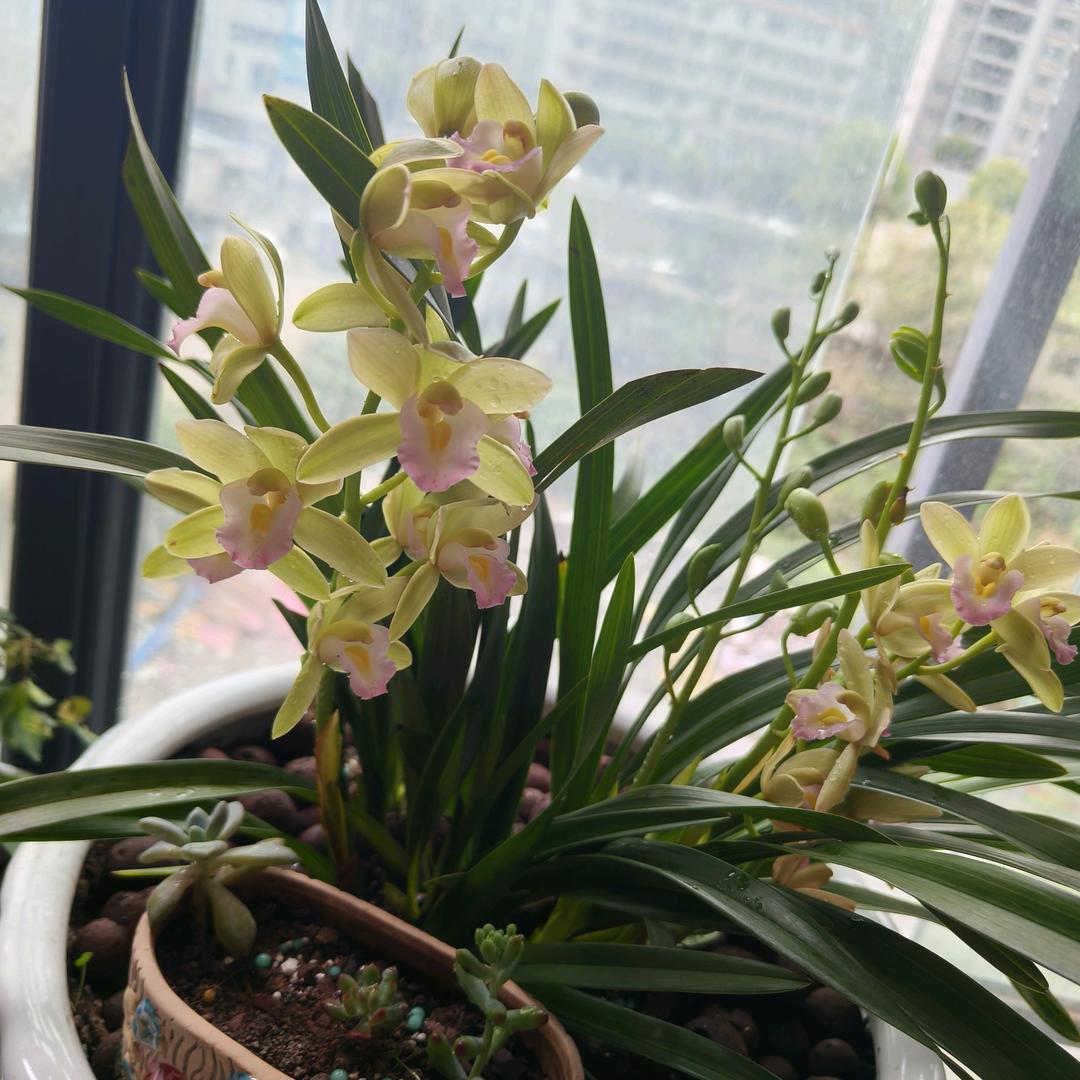雨:众不同