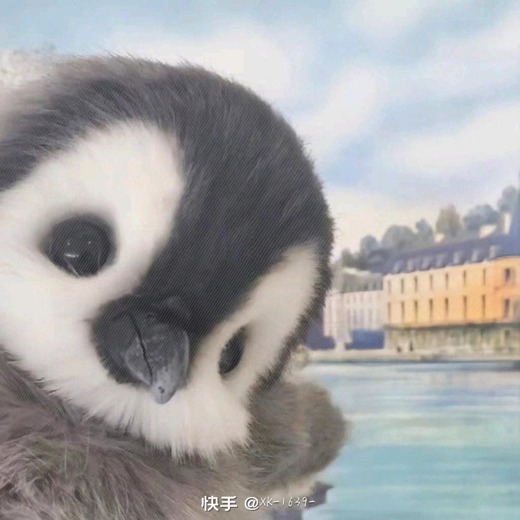小赵,