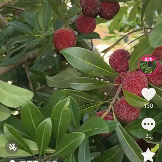 我最爱一个人是我。