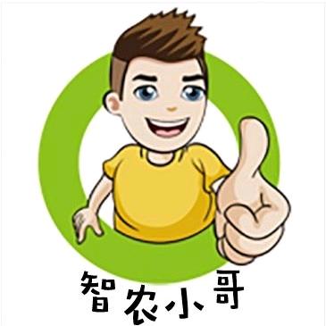 华实农业人·笨笨熊