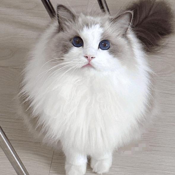 柳州商务ktv预定