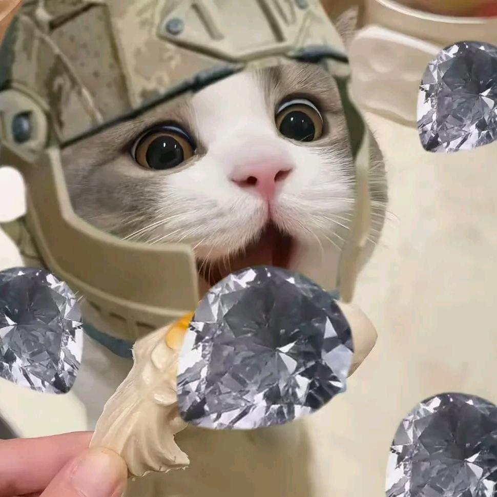 浅梦的三角洲记录