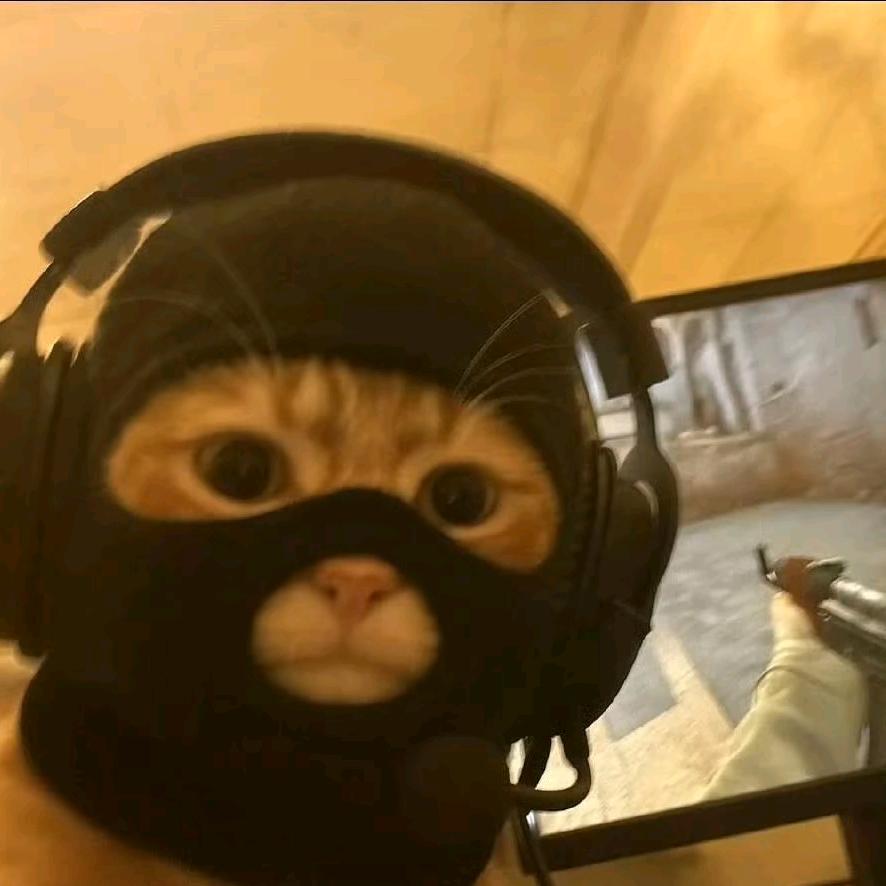 AAA全险半挂大表哥（专跑国道）