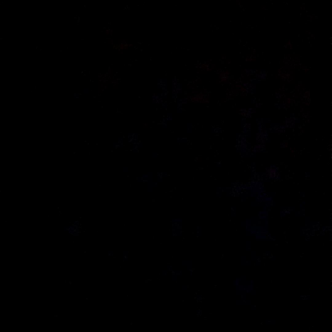 呆呆呆呆瓜