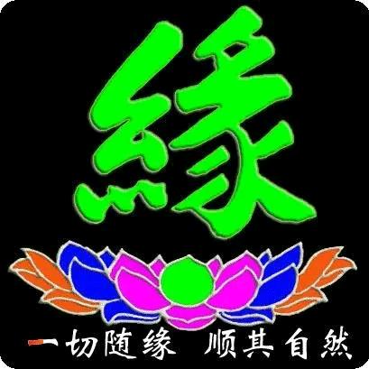 一切❅随❅缘