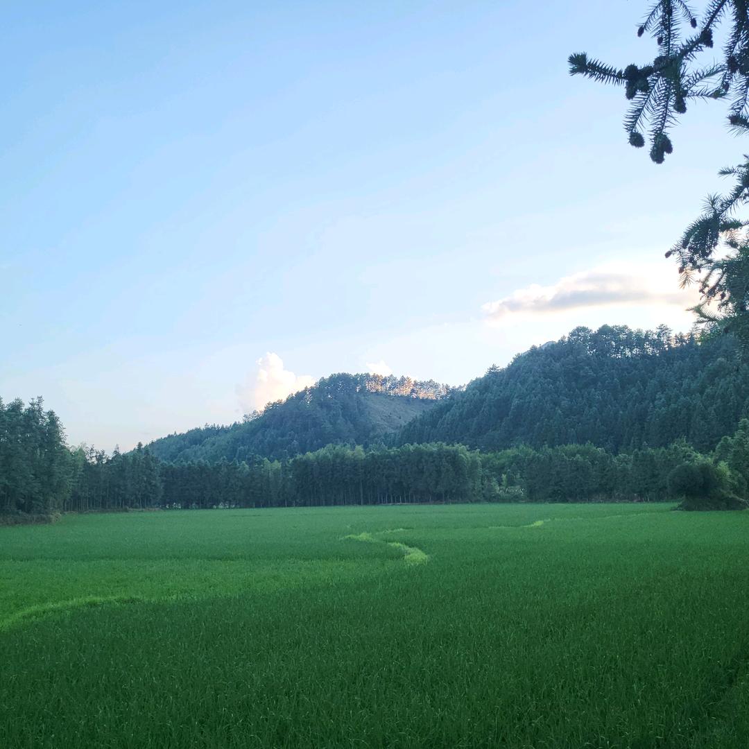 浅聊局势