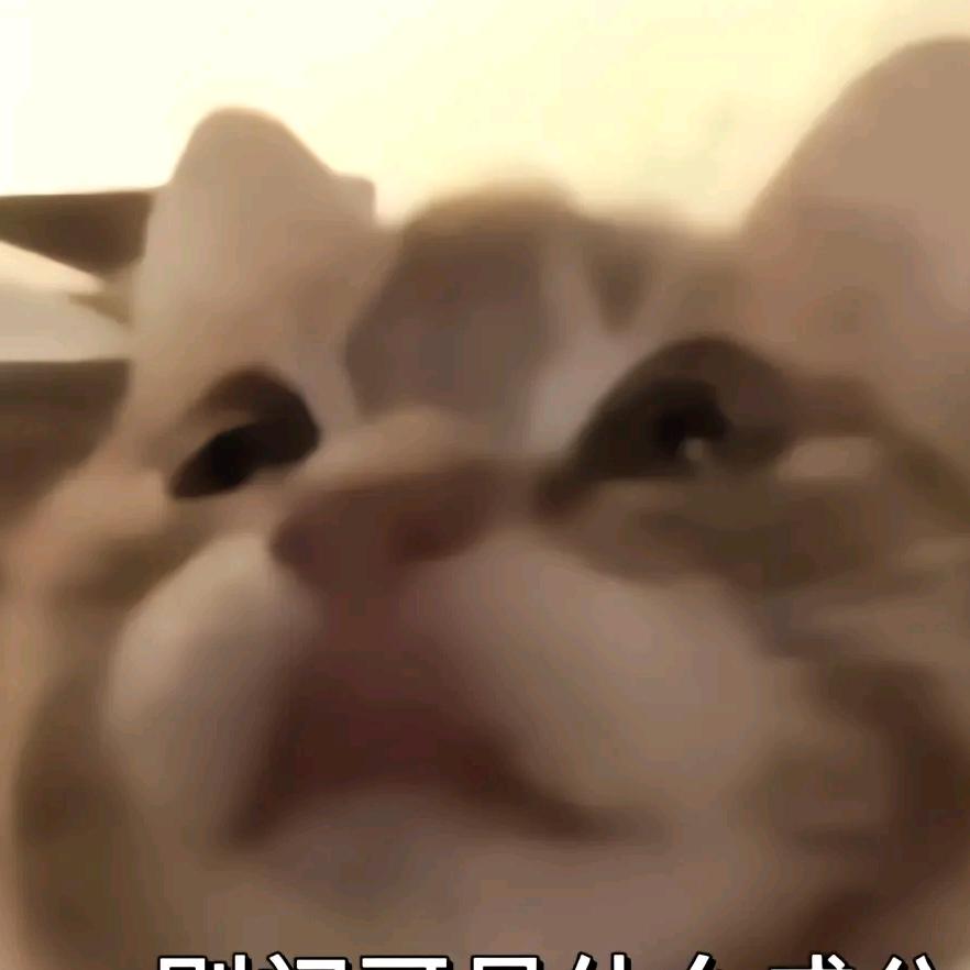 🌈🌈🌈dadada（奋斗版）