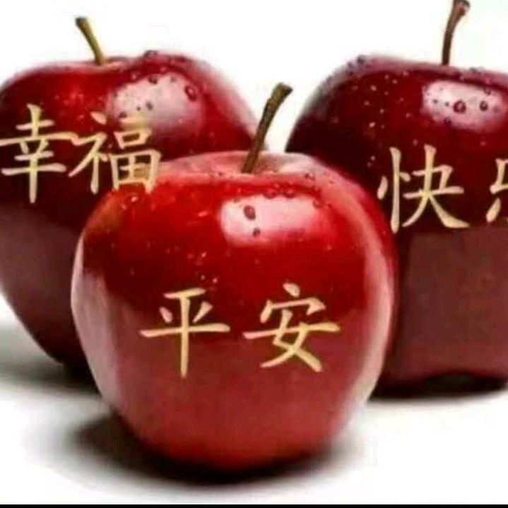 专业维修摩托电动车