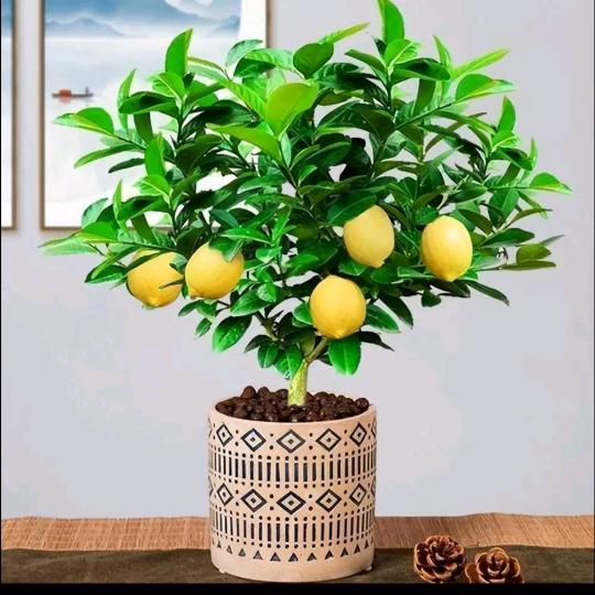 奋斗