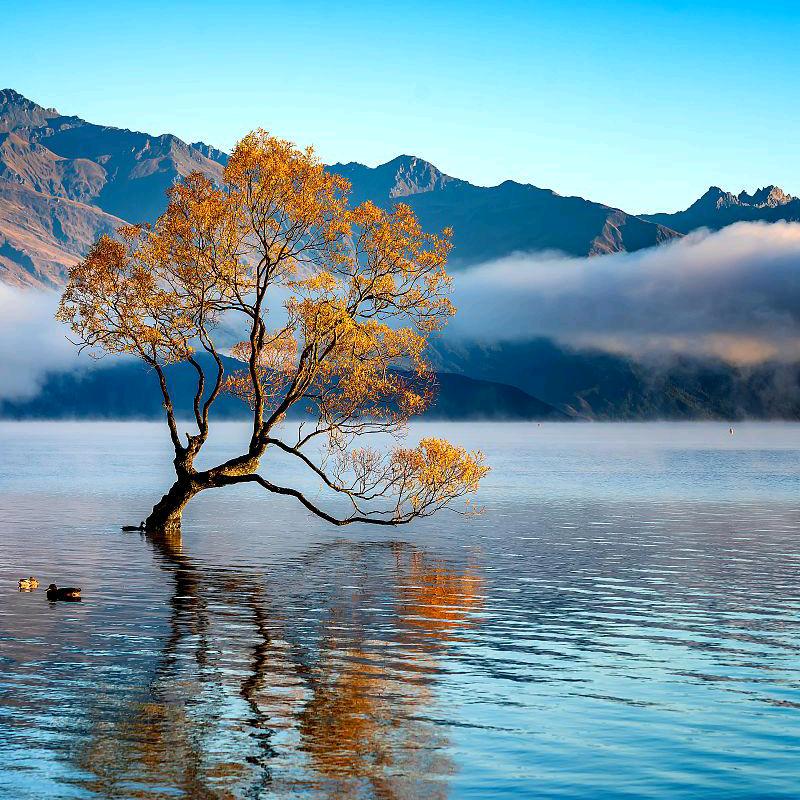 豁山亿景（跑山哥）