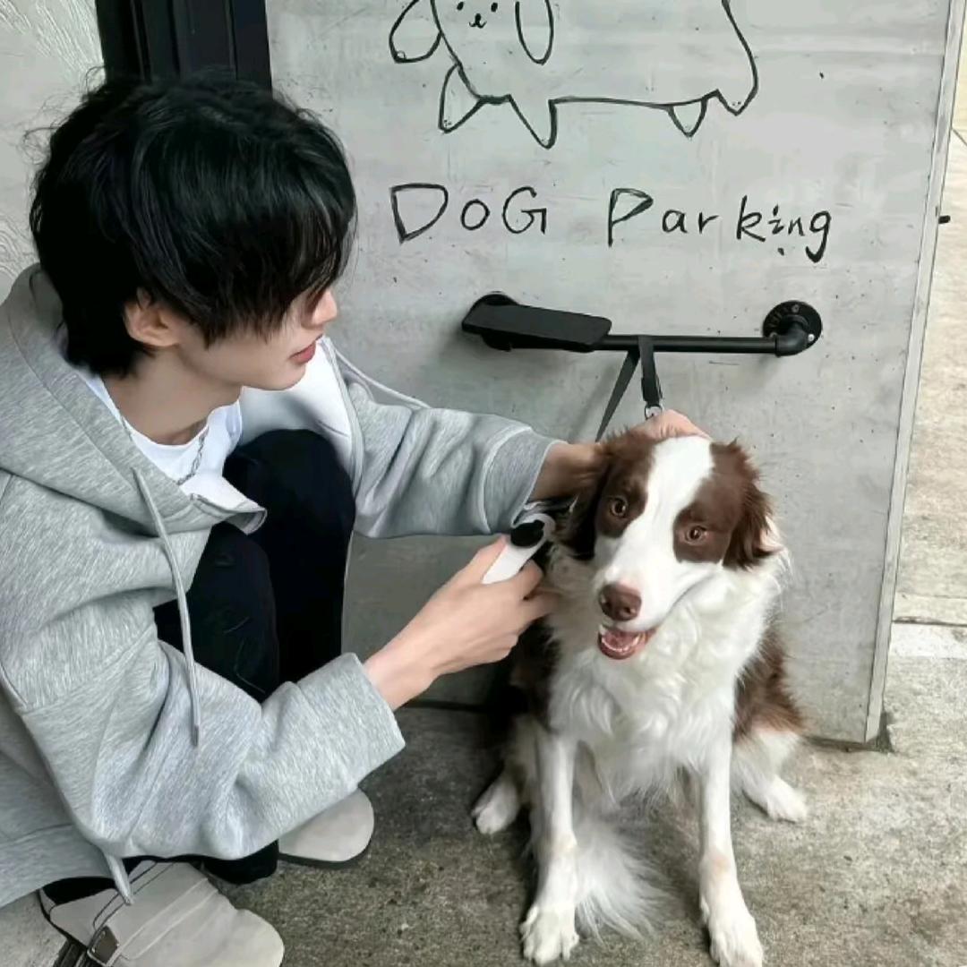 重财职 小苹果学长 学校专升本（咨询版）