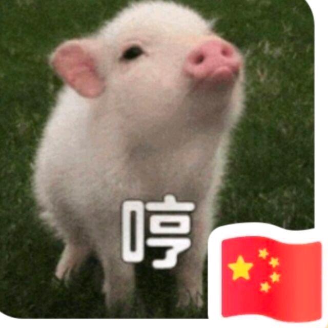 儒雅。