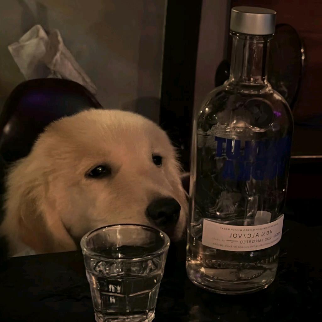 帅贤🍉