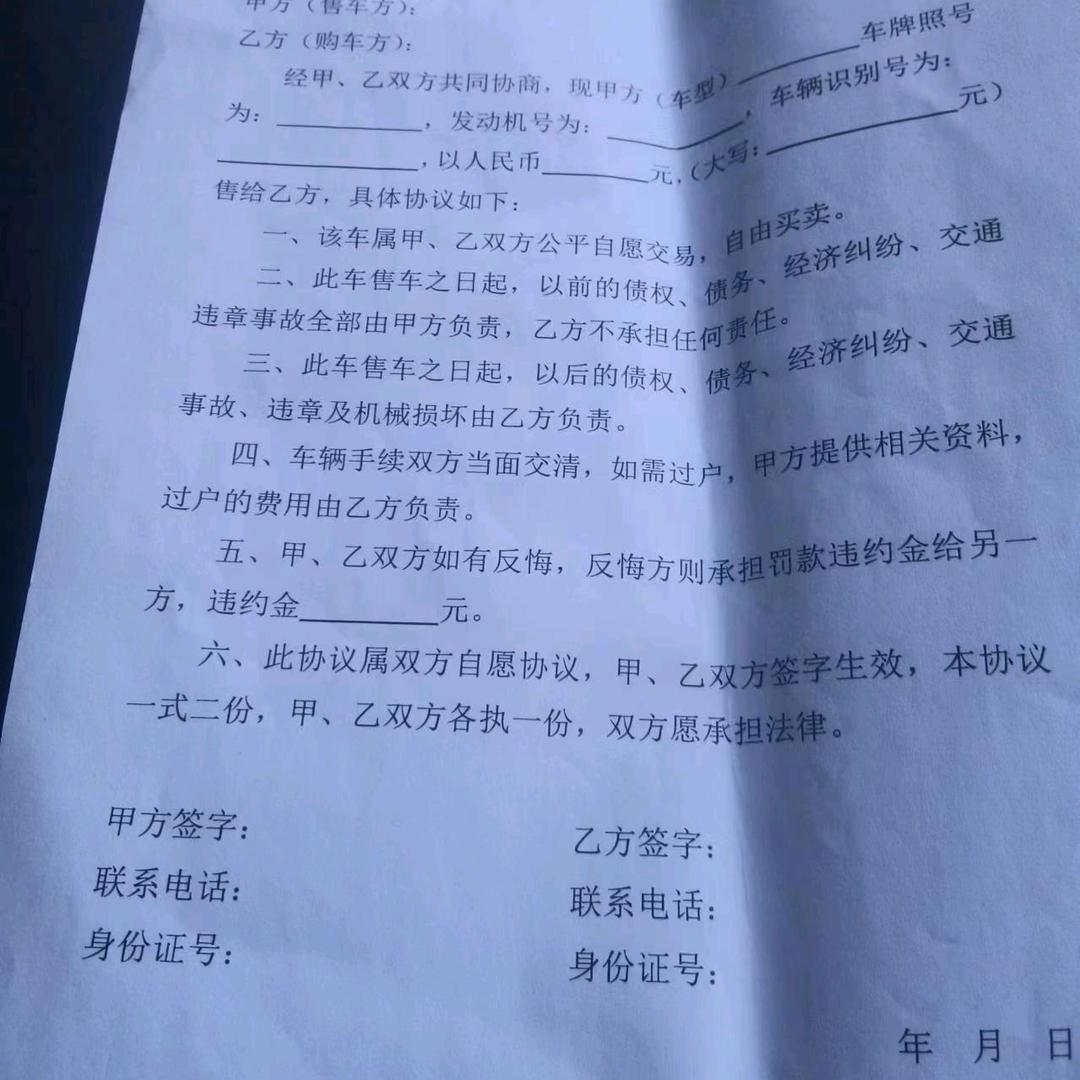 飞翔的雄鹰
