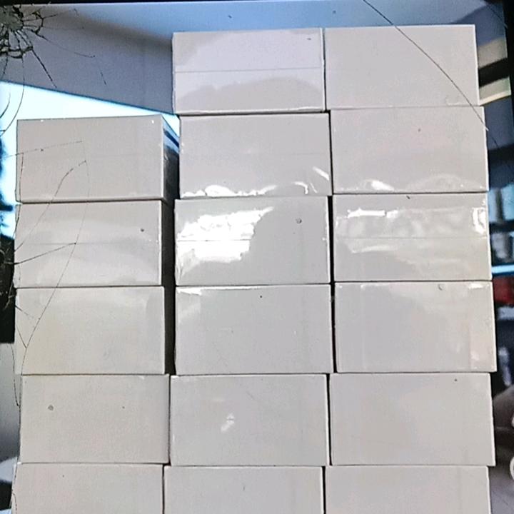一只流浪狗