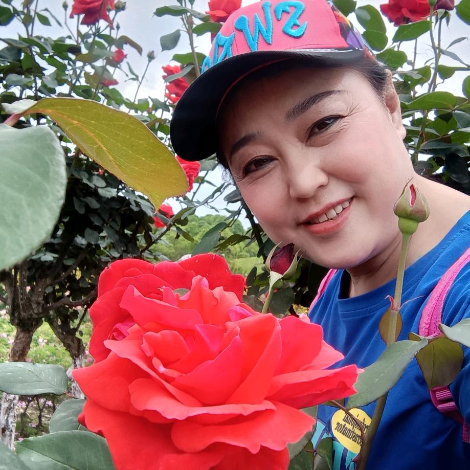 叶三姐68，7，3，川猴